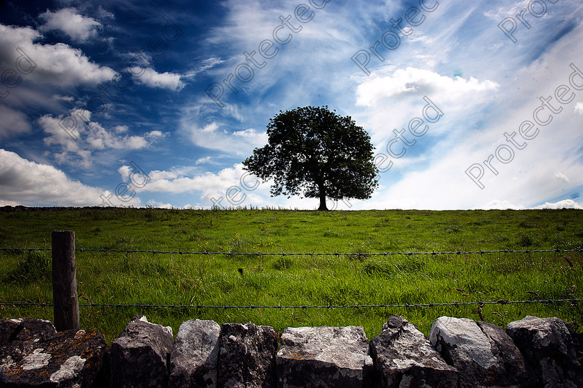 Lonely tree 001 full res 
 The lonely tree, Derbyshire landscape 
 Keywords: agriculture, barbed, beautiful, cloud, country, countryside, derbyshire, district, England, english, farming, farmland, fence, field, grass, hill, horizon, land, landscape, lonely,