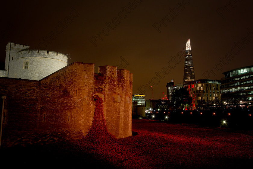 6H1C0080 
 Blood Swept Lands and Seas of Red, marking the centenary of the outbreak of the First World War. Created by ceramic artist Paul Cummins, with setting by stage designer Tom Piper, 888,246 ceramic poppies will progressively fill the Towers famous moat. London 11th November 2014 
 Keywords: 100, 1914, 1st, anniversary, architectural, architecture, army, art, artist, blood, britain, castle, century, ceramic, commemorate, cummins, dead, death, english, famous, field, first, flower, heritage, historic, history, installation, landmark, london, memorial, military, monument, monumental, one, poppy, red, remembrance, royal, sacrifice, sightseeing, soldier, symbol, symbolic, tower, tribute, uk, war, world, ww1, night, evening,