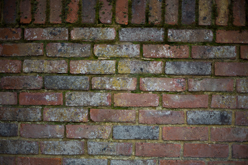 Brick-wall-005