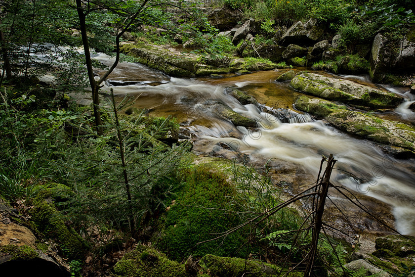 Stream-001 
 Stream in the mountains 
 Keywords: river, creek, stream, rocks, valley, moss, green, brook, calm, veiling, trees, summer, outside, blurred, outdoors, water, nature, peaceful, haze, landscape