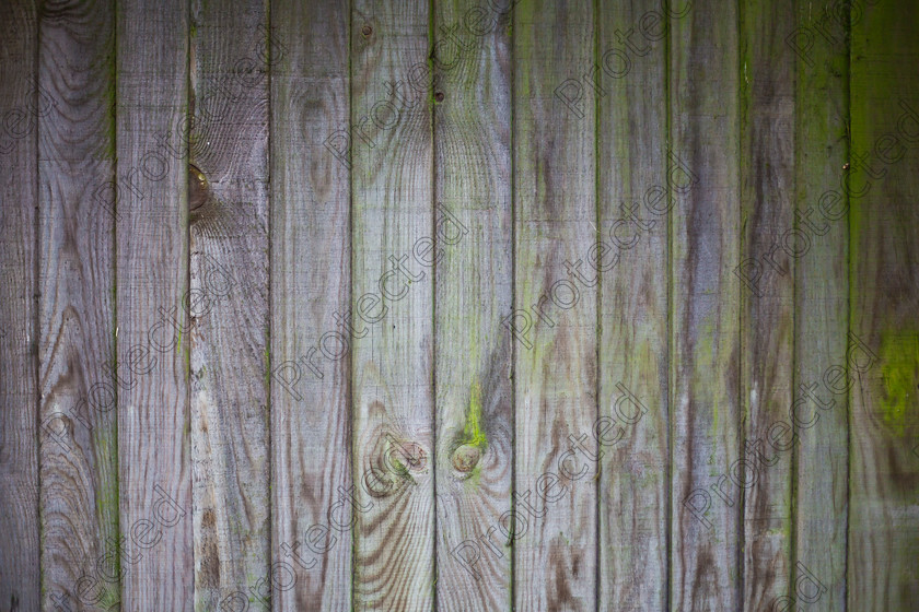 Wooden-fence-001