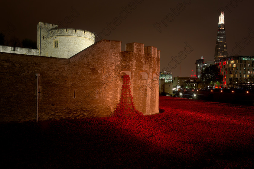 6H1C0082 
 Blood Swept Lands and Seas of Red, marking the centenary of the outbreak of the First World War. Created by ceramic artist Paul Cummins, with setting by stage designer Tom Piper, 888,246 ceramic poppies will progressively fill the Towers famous moat. London 11th November 2014 
 Keywords: 100, 1914, 1st, anniversary, architectural, architecture, army, art, artist, blood, britain, castle, century, ceramic, commemorate, cummins, dead, death, english, famous, field, first, flower, heritage, historic, history, installation, landmark, london, memorial, military, monument, monumental, one, poppy, red, remembrance, royal, sacrifice, sightseeing, soldier, symbol, symbolic, tower, tribute, uk, war, world, ww1, night, evening, featured