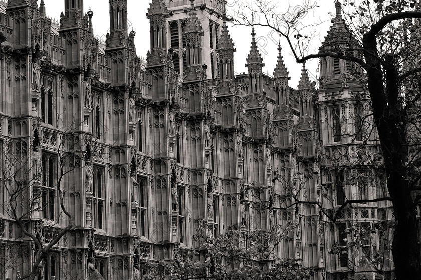 DSC 0163 
 Houses of Parliament London 
 Keywords: architecture, attraction, britain, british, building, capital, city, detail, england, english, exterior, famous, gothic, govern, government, great, heritage, historic, history, house of commons, house of lords, houses, houses of parliament, king, kingdom, landmark, london, lords, monument, old, outside, parliament, political, politics, tourism, tourist, travel, uk, united, westminster monochrome