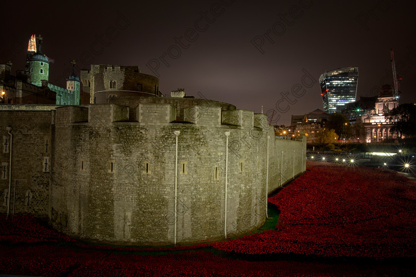6H1C0068 
 Blood Swept Lands and Seas of Red, marking the centenary of the outbreak of the First World War. Created by ceramic artist Paul Cummins, with setting by stage designer Tom Piper, 888,246 ceramic poppies will progressively fill the Towers famous moat. London 11th November 2014 
 Keywords: 100, 1914, 1st, anniversary, architectural, architecture, army, art, artist, blood, britain, castle, century, ceramic, commemorate, cummins, dead, death, english, famous, field, first, flower, heritage, historic, history, installation, landmark, london, memorial, military, monument, monumental, one, poppy, red, remembrance, royal, sacrifice, sightseeing, soldier, symbol, symbolic, tower, tribute, uk, war, world, ww1, night, evening, featured