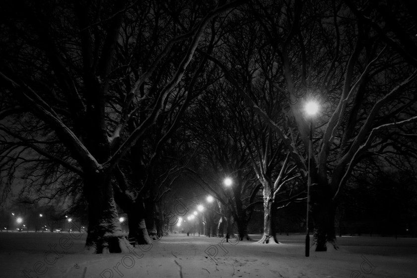 6H1C1390 
 Winter evening 
 Keywords: city, winter, lights, path, snow, evening, dark