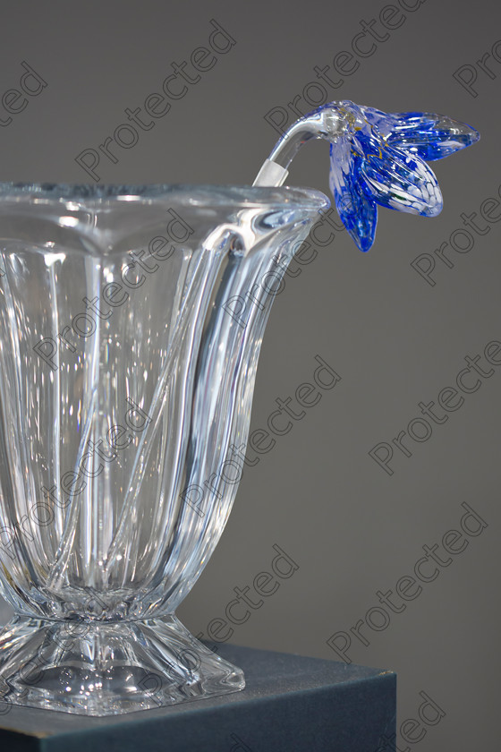 6H1C8661 
 Crystal glasses 
 Keywords: Glass, Glass, Crystal, Cut Glass, Industry, Art, Shape, Work Tool, Bottle, Craft, Close-Up, Cup, Yellow, Vase, Table, Engraved Image, Engravement, Lead manufacturing production making