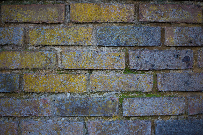 Brick-wall-001